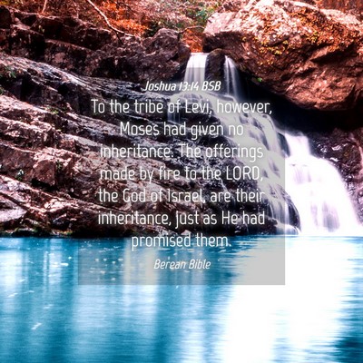 Picture 04 - Joshua 13:14 BSB - To the tribe of Levi, however, Moses had given no - Bible Verse Picture