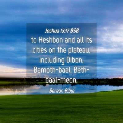 Picture 04 - Joshua 13:17 BSB - to Heshbon and all its cities on the plateau, - Bible Verse Picture