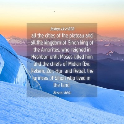 Picture 04 - Joshua 13:21 BSB - all the cities of the plateau and all the kingdom - Bible Verse Picture