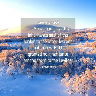 Picture 04 - Joshua 14:3 BSB - For Moses had given the inheritance east of the - Bible Verse Picture