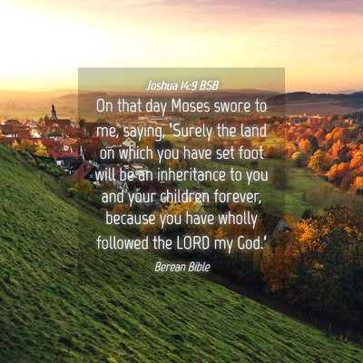 Picture 04 - Joshua 14:9 BSB - On that day Moses swore to me, saying, ‘Surely - Bible Verse Picture