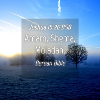 Picture 04 - Joshua 15:26 BSB - Amam, Shema, - Bible Verse Picture
