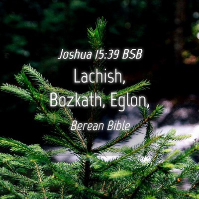 Picture 04 - Joshua 15:39 BSB - Lachish, Bozkath, - Bible Verse Picture
