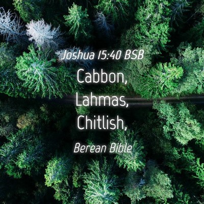 Picture 04 - Joshua 15:40 BSB - Cabbon, Lahmas, - Bible Verse Picture