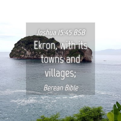 Picture 04 - Joshua 15:45 BSB - Ekron, with its towns and - Bible Verse Picture