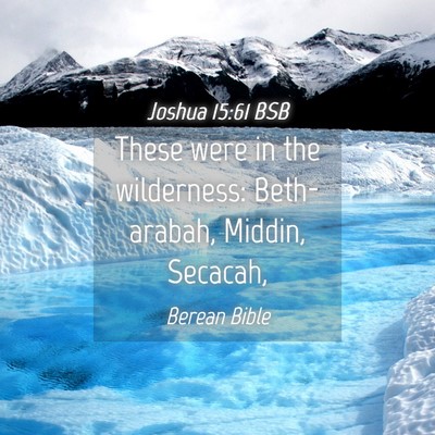 Picture 04 - Joshua 15:61 BSB - These were in the wilderness: Beth-arabah, - Bible Verse Picture