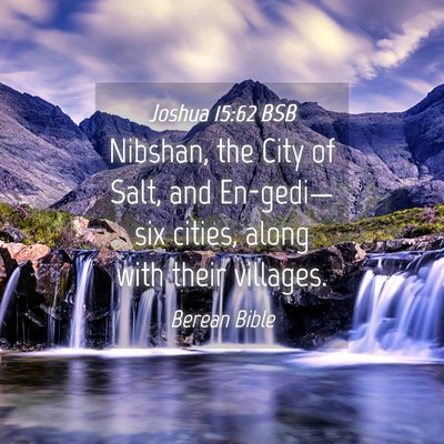 Picture 04 - Joshua 15:62 BSB - Nibshan, the City of Salt, and En-gedi—six - Bible Verse Picture