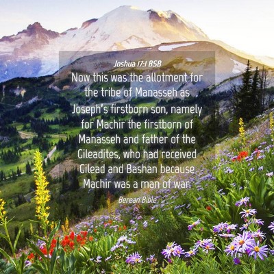 Picture 04 - Joshua 17:1 BSB - Now this was the allotment for the tribe of - Bible Verse Picture