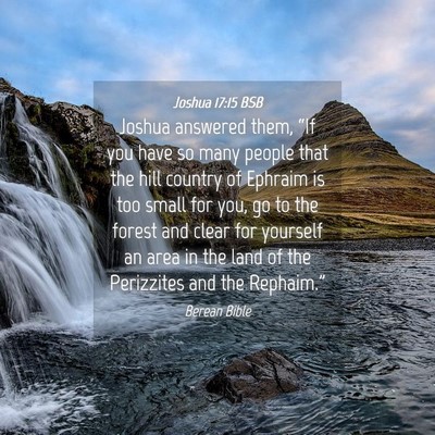 Picture 04 - Joshua 17:15 BSB - Joshua answered them, “If you have so many - Bible Verse Picture