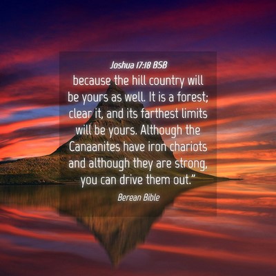 Picture 04 - Joshua 17:18 BSB - because the hill country will be yours as well. - Bible Verse Picture