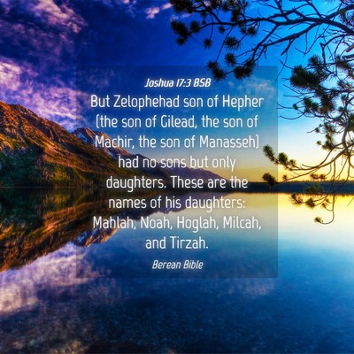 Picture 04 - Joshua 17:3 BSB - But Zelophehad son of Hepher (the son of Gilead, - Bible Verse Picture