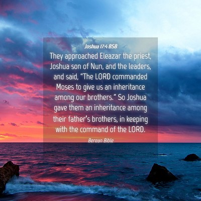 Picture 04 - Joshua 17:4 BSB - They approached Eleazar the priest, Joshua son of - Bible Verse Picture