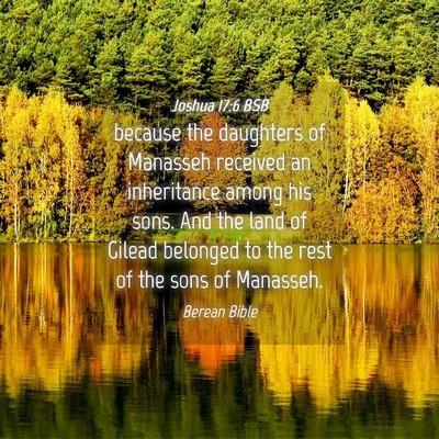 Picture 04 - Joshua 17:6 BSB - because the daughters of Manasseh received an - Bible Verse Picture