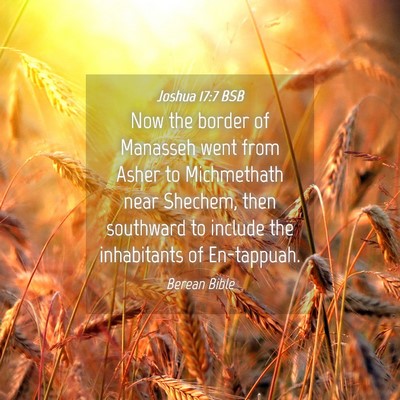 Picture 04 - Joshua 17:7 BSB - Now the border of Manasseh went from Asher to - Bible Verse Picture