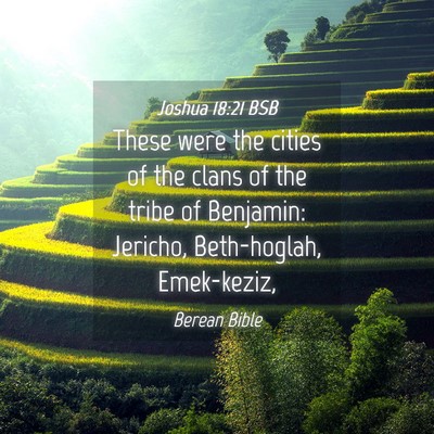 Picture 04 - Joshua 18:21 BSB - These were the cities of the clans of the tribe - Bible Verse Picture