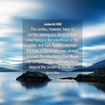 Picture 04 - Joshua 18:7 BSB - The Levites, however, have no portion among you, - Bible Verse Picture