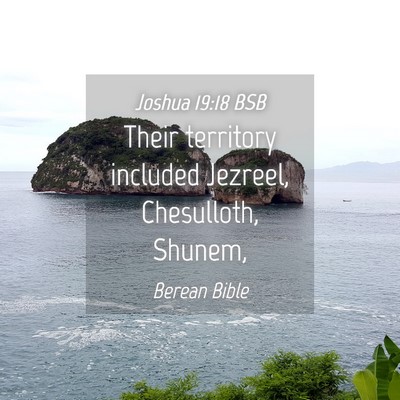 Picture 04 - Joshua 19:18 BSB - Their territory included Jezreel, Chesulloth, - Bible Verse Picture