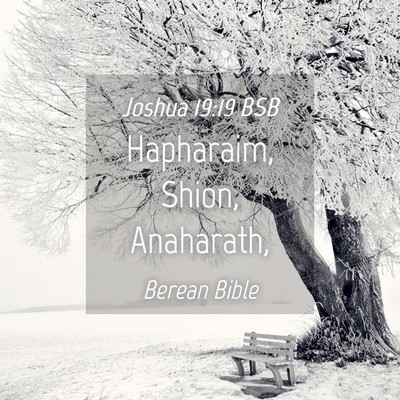 Picture 04 - Joshua 19:19 BSB - Hapharaim, Shion, - Bible Verse Picture