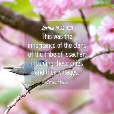 Picture 04 - Joshua 19:23 BSB - This was the inheritance of the clans of the - Bible Verse Picture