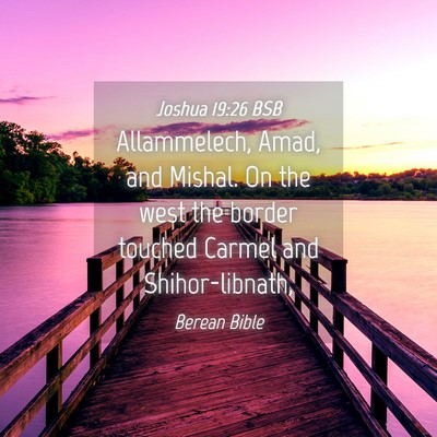 Picture 04 - Joshua 19:26 BSB - Allammelech, Amad, and Mishal. On the west the - Bible Verse Picture
