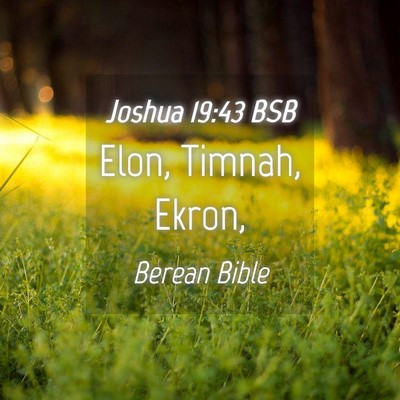Picture 04 - Joshua 19:43 BSB - Elon, Timnah, - Bible Verse Picture