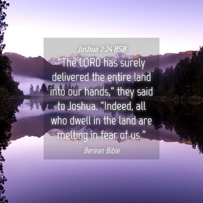 Picture 04 - Joshua 2:24 BSB - “The LORD has surely delivered the entire land - Bible Verse Picture