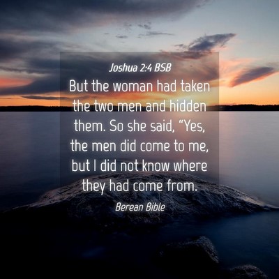 Picture 04 - Joshua 2:4 BSB - But the woman had taken the two men and hidden - Bible Verse Picture