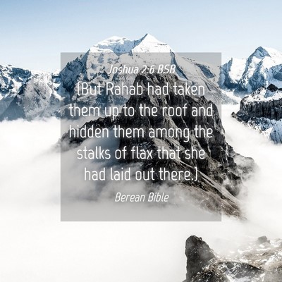 Picture 04 - Joshua 2:6 BSB - (But Rahab had taken them up to the roof and - Bible Verse Picture