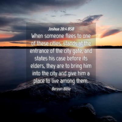 Picture 04 - Joshua 20:4 BSB - When someone flees to one of these cities, stands - Bible Verse Picture