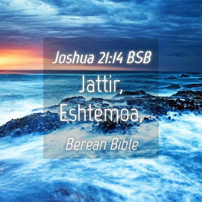 Picture 04 - Joshua 21:14 BSB - Jattir, - Bible Verse Picture