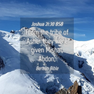 Picture 04 - Joshua 21:30 BSB - From the tribe of Asher they were given Mishal, - Bible Verse Picture