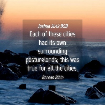 Picture 04 - Joshua 21:42 BSB - Each of these cities had its own surrounding - Bible Verse Picture