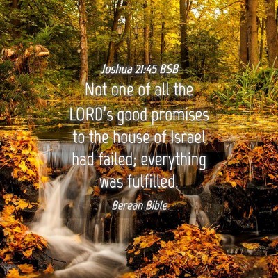 Picture 04 - Joshua 21:45 BSB - Not one of all the LORD’s good promises to the - Bible Verse Picture
