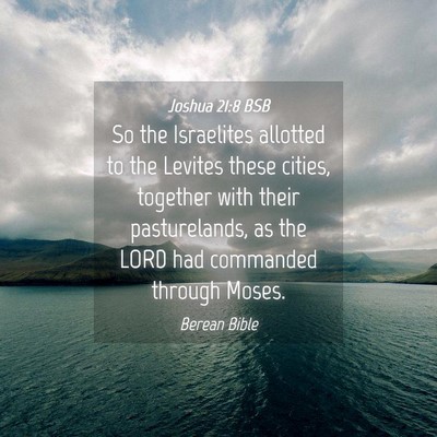 Picture 04 - Joshua 21:8 BSB - So the Israelites allotted to the Levites these - Bible Verse Picture