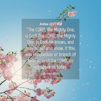 Picture 04 - Joshua 22:22 BSB - “The LORD, the Mighty One, is God! The LORD, - Bible Verse Picture