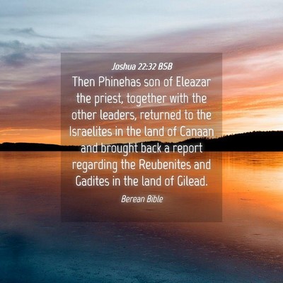 Picture 04 - Joshua 22:32 BSB - Then Phinehas son of Eleazar the priest, together - Bible Verse Picture