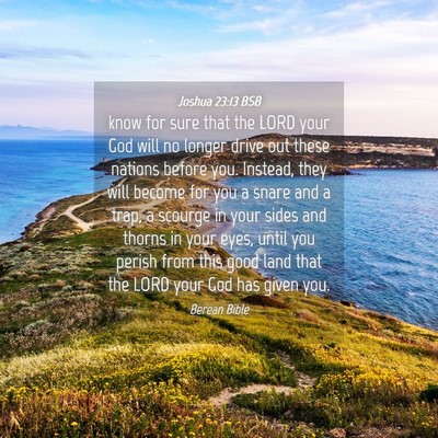 Picture 04 - Joshua 23:13 BSB - know for sure that the LORD your God will no - Bible Verse Picture