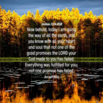 Picture 04 - Joshua 23:14 BSB - Now behold, today I am going the way of all the - Bible Verse Picture