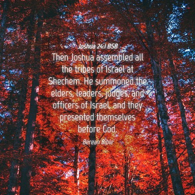 Picture 04 - Joshua 24:1 BSB - Then Joshua assembled all the tribes of Israel at - Bible Verse Picture
