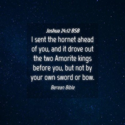 Picture 04 - Joshua 24:12 BSB - I sent the hornet ahead of you, and it drove out - Bible Verse Picture
