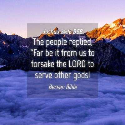 Picture 04 - Joshua 24:16 BSB - The people replied, “Far be it from us to - Bible Verse Picture