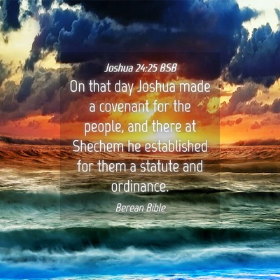 Picture 04 - Joshua 24:25 BSB - On that day Joshua made a covenant for the - Bible Verse Picture