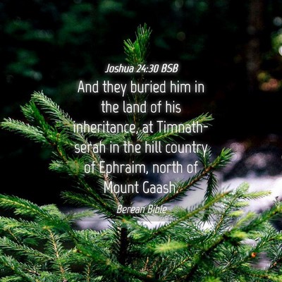 Picture 04 - Joshua 24:30 BSB - And they buried him in the land of his - Bible Verse Picture