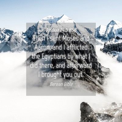 Picture 04 - Joshua 24:5 BSB - Then I sent Moses and Aaron, and I afflicted the - Bible Verse Picture