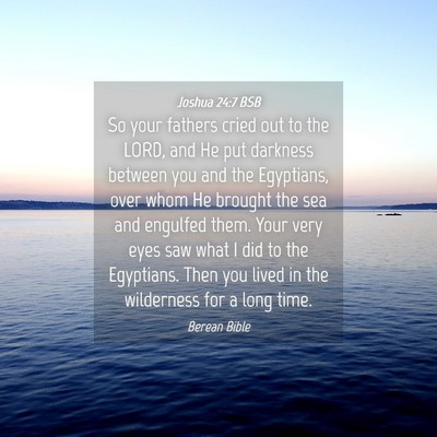 Picture 04 - Joshua 24:7 BSB - So your fathers cried out to the LORD, and He put - Bible Verse Picture