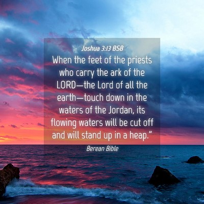 Picture 04 - Joshua 3:13 BSB - When the feet of the priests who carry the ark of - Bible Verse Picture