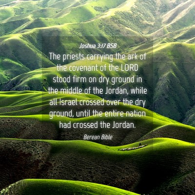 Picture 04 - Joshua 3:17 BSB - The priests carrying the ark of the covenant of - Bible Verse Picture