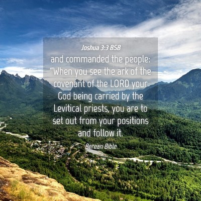 Picture 04 - Joshua 3:3 BSB - and commanded the people: “When you see the ark - Bible Verse Picture