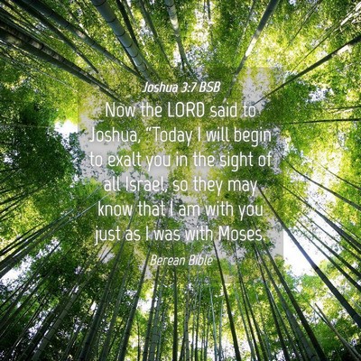 Picture 04 - Joshua 3:7 BSB - Now the LORD said to Joshua, “Today I will - Bible Verse Picture
