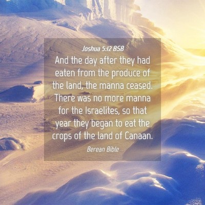 Picture 04 - Joshua 5:12 BSB - And the day after they had eaten from the produce - Bible Verse Picture